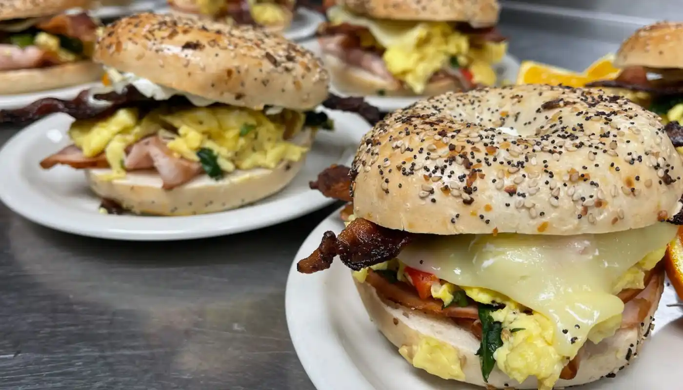 Recovery Bay Banner Image