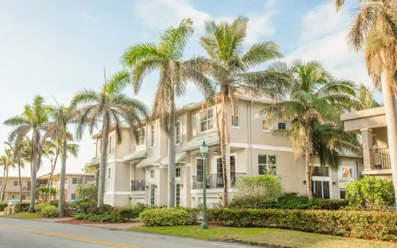 Seaside Palm Beach Banner Image